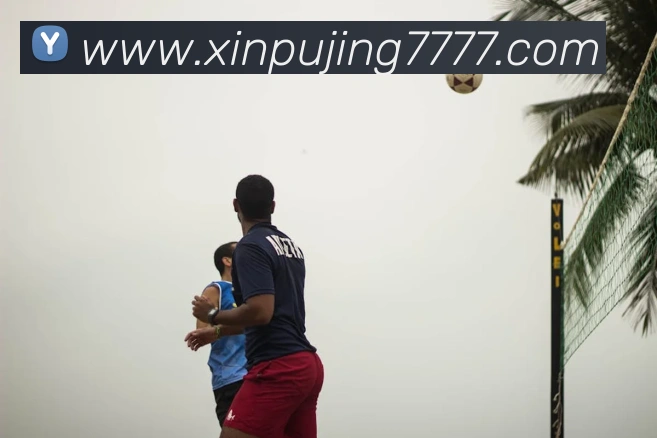 对战数据统计